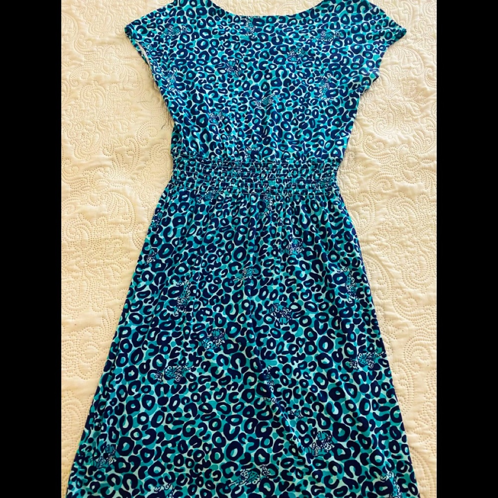 Lily Pulitzer Dress